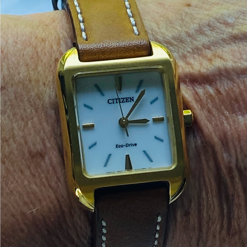 Citizens watch